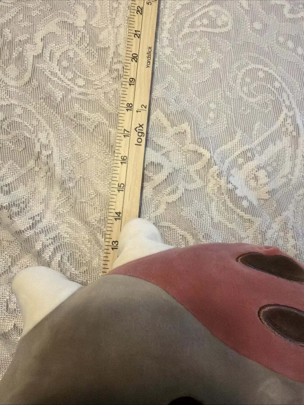 Squishmallows **no shipping